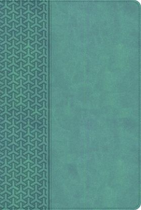 Picture of KJV Everyday Study Bible, Earthen Teal Leathertouch