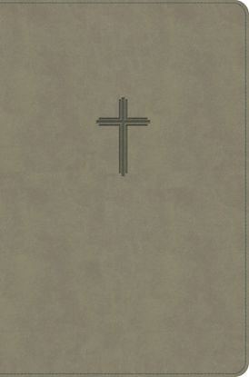 Picture of KJV Everyday Study Bible, Earth Suedesoft Leathertouch