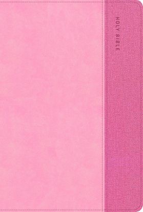 Picture of KJV Study Bible, Personal Size Edition, Pink Leathertouch