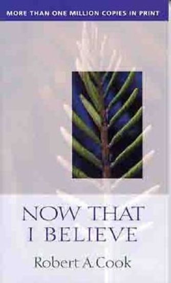 Picture of Now That I Believe - eBook [ePub]
