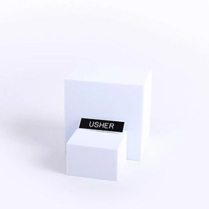 Picture of Black and White Usher Pin-On Badge