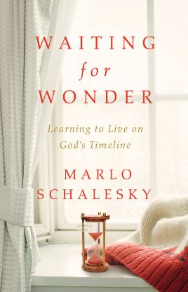 Picture of Waiting for Wonder