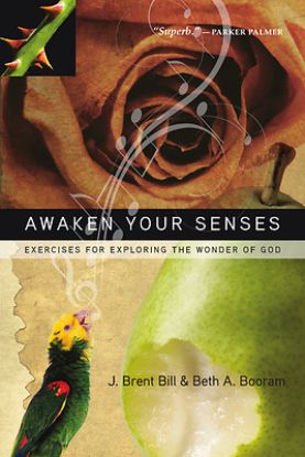 Picture of Awaken Your Senses - eBook [ePub]