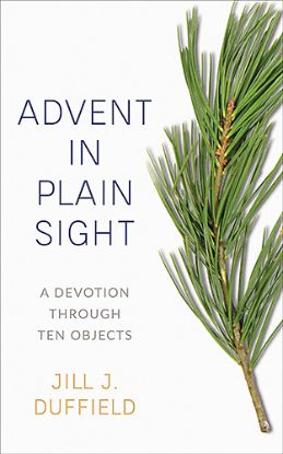 Picture of Advent in Plain Sight - eBook [ePub]