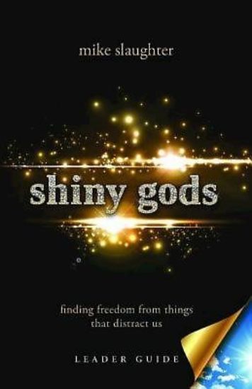 Picture of shiny gods - Leader Guide