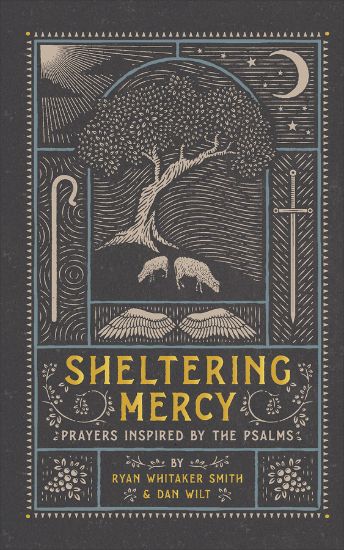 Picture of Sheltering Mercy - eBook [ePub]
