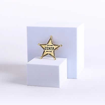 Picture of Pointed Gold Star Usher Pin-On Badge