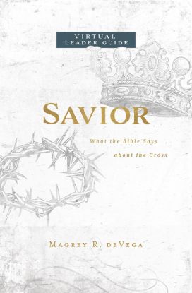 Picture of Savior Virtual Leader Guide